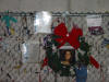 Julie Welch Picture