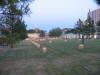 OKC Memorial Chairs