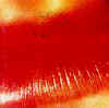 KissMex3.jpg (9613 bytes)
